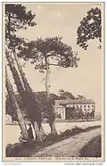 "La belle avenue de Moulin Mer" et le moulin, circa 1900.