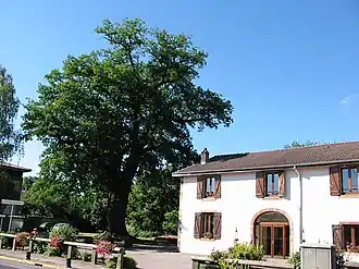Roville-aux-Chênes