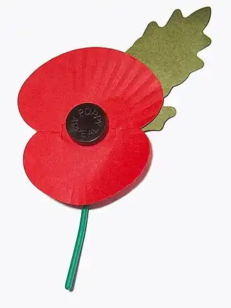 Le coquelicot est porté à l'occasion du dimanche du souvenir (traditionnellement du jour des morts (2 novembre) jusqu'à la date la plus tardive entre le jour du souvenir (11 novembre) et le dimanche du souvenir).