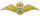 Insigne des Forces aériennes
