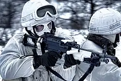 Image illustrative de l’article 3 Commando Brigade