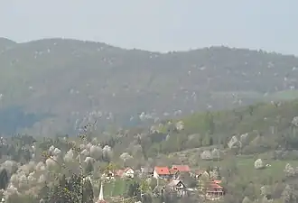 Rtić