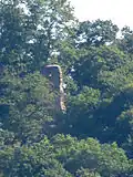 Ruine du château de Speckfeld