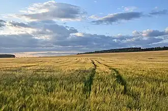 Ruda Żurawiecka