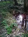 Le ru des Templiers.