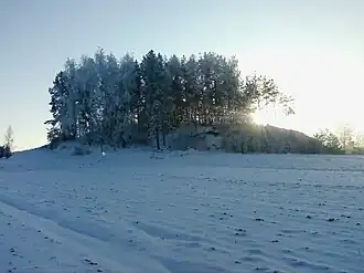 Jałówka (Dąbrowa Białostocka)