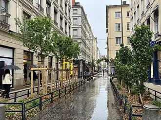 Voir la photo.