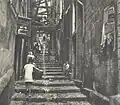 Rue Figuier-de-Cassis