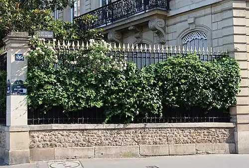 Plaques et verdure.