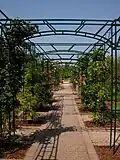 La roseraie en 2008