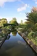 Le petit bassin