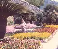 Les jardins de la Villa Rufolo.