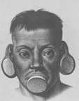 Indien Botocudo par Maximilian zu Wied-Neuwied.