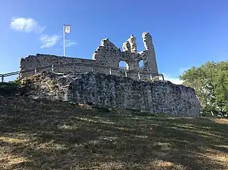 Image illustrative de l’article Château de Thynière