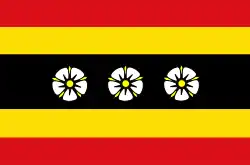 Drapeau de Ruinen