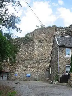 Ruines du château fort de Dalhem et de l'ancien donjon
