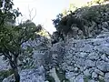 Ruines antiques (2022)