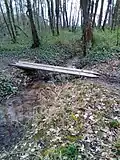 Pont dans le bois des Templiers.