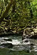 Ruisseau de Bardes