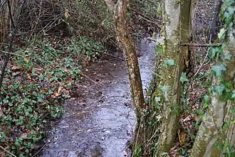 Le ruisseau de la Grange du Breuil.