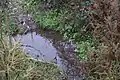 Source d'eau naturelle secondaire.