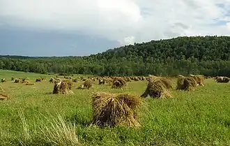 Comté de Steuben (New York)