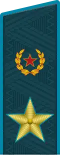 Image illustrative de l’article Général d'armée (Russie)