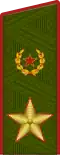 Insigne de général de l'Armée(uniforme de terrain de l'Armée de terre).