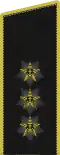 Amiral