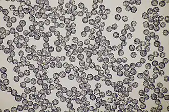 Spores.