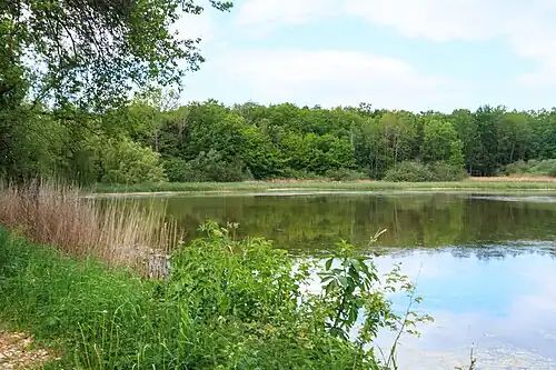 Étang de Mordýř.