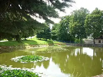 Rybné