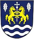 Blason de Rychnovek