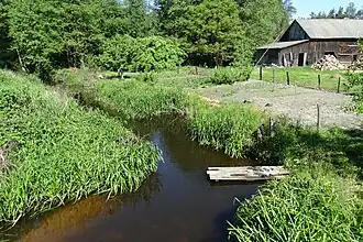 Janowice (Puławy)