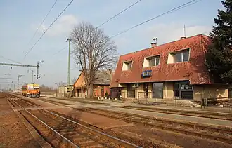 Sásd