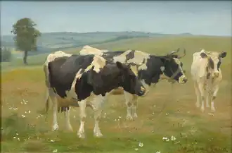 Holsteins dans un champ (1905)