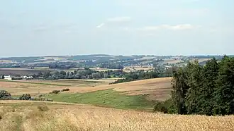 Iłowiec (Lublin)