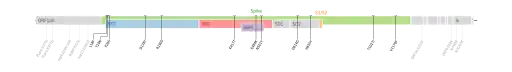 Les mutations du variant Gamma sur une carte génomique du SARS-CoV-2