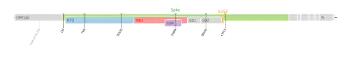 Les mutations du variant Iota sur une carte génomique du SARS-CoV-2