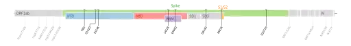 Les mutations du variant Kappa sur une carte génomique du SARS-CoV-2