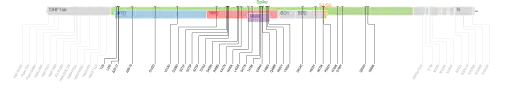 Les mutations du variant Omicron sur une carte génomique du SARS-CoV-2