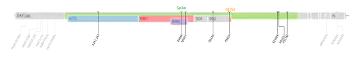 Les mutations du variant Thêta sur une carte génomique du SARS-CoV-2