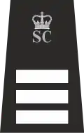 Special Chief Inspector