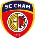 Logo actuel