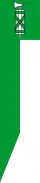 Drapeau complet saint-gallois.