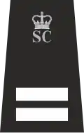 Special Inspector