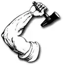 Image illustrative de l’article Parti ouvrier socialiste d'Amérique
