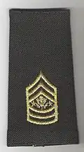 Sergeant major of the Army, après 1995
