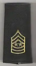Sergeant major of the Army, avant 1995