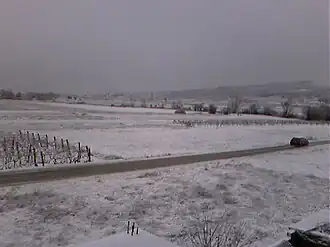 Čerin